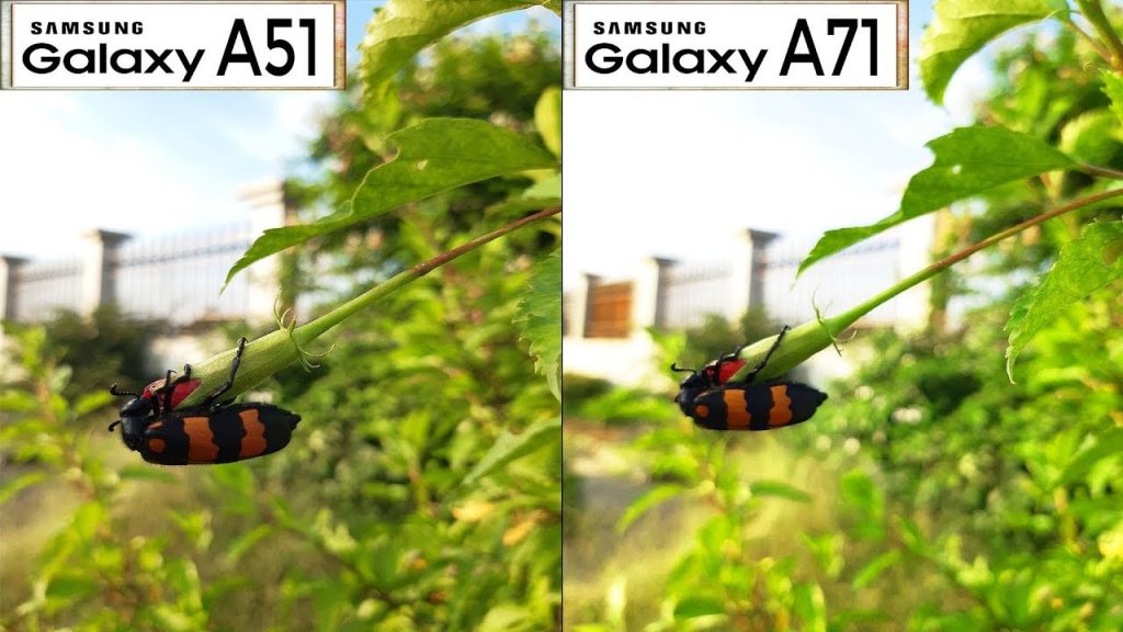 مقایسه دوربین اصلی A51 با A71