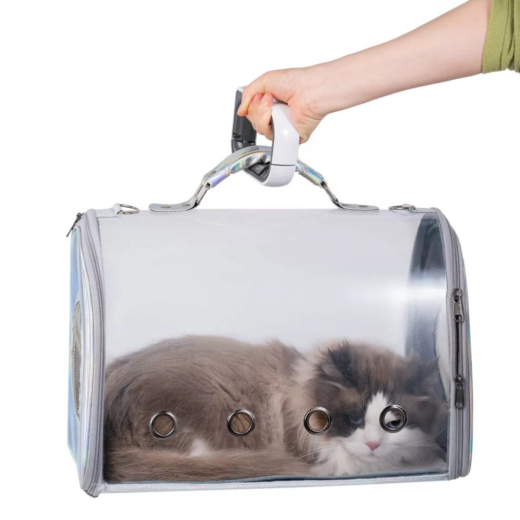 ترازوی آشپزخانه گرین لاین مدل GNTVLMLSWH