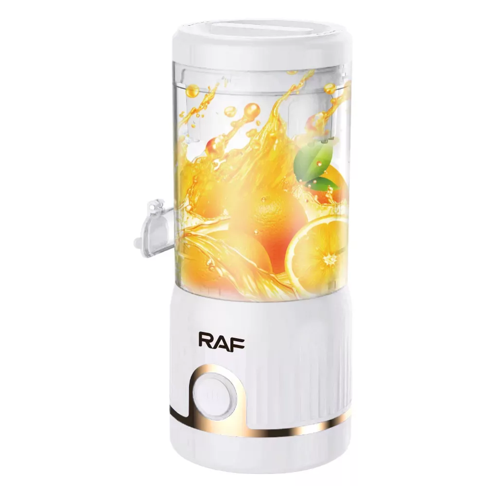 مخلوط کن 0.25 لیتری راف مدل R.613