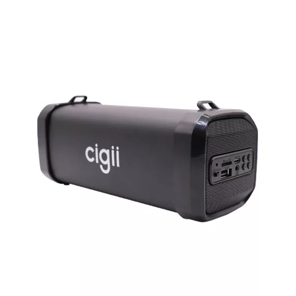 اسپیکر بلوتوثی قابل حمل سی جی مدل F41B