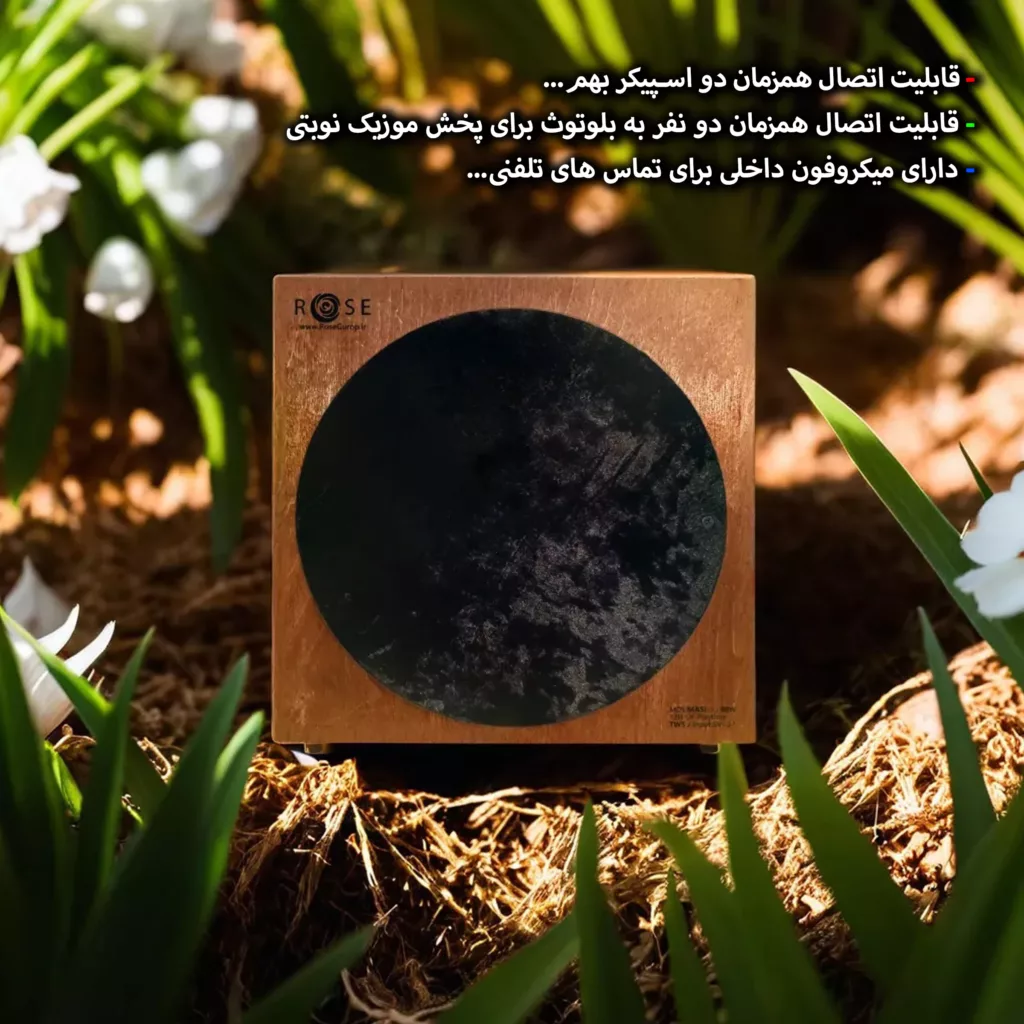 اسپیکر بلوتوثی قابل حمل رز مدل MASI 12 80W