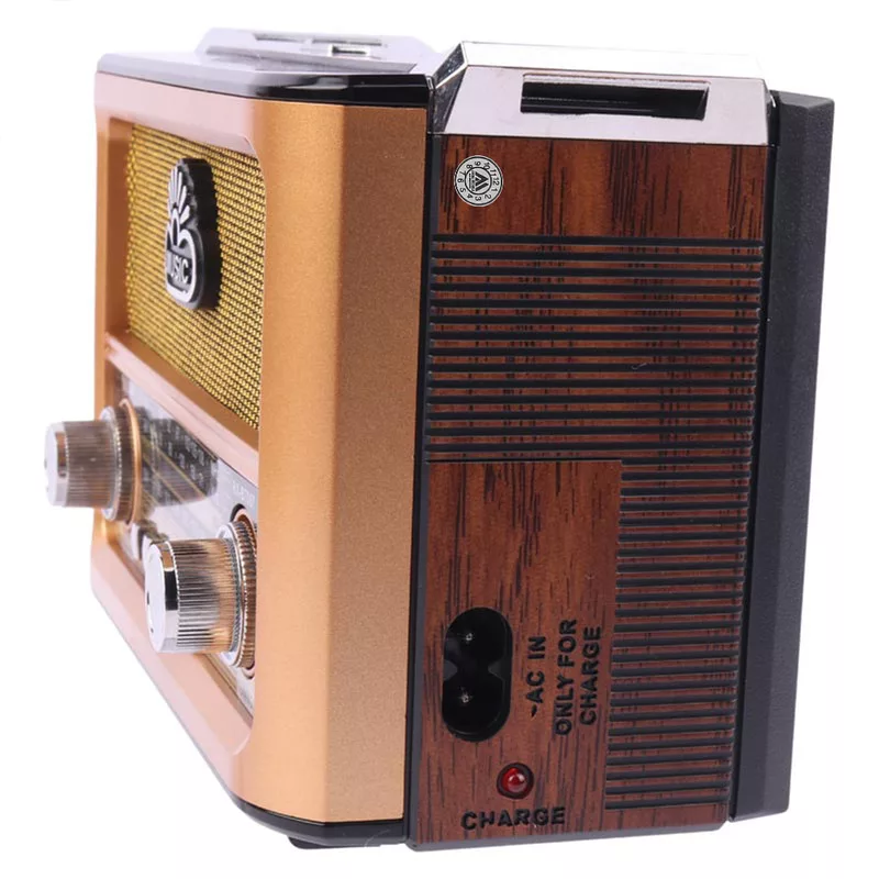 اسپیکر بلوتوثی قابل حمل گولون مدل RX-BT087