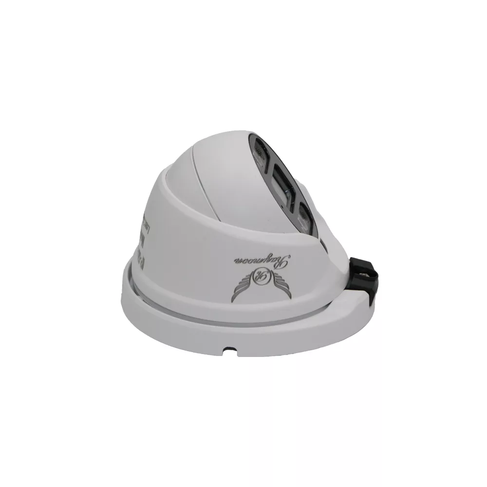 دوربین مداربسته تحت شبکه رایمون کد H52-POE بسته شش عددی