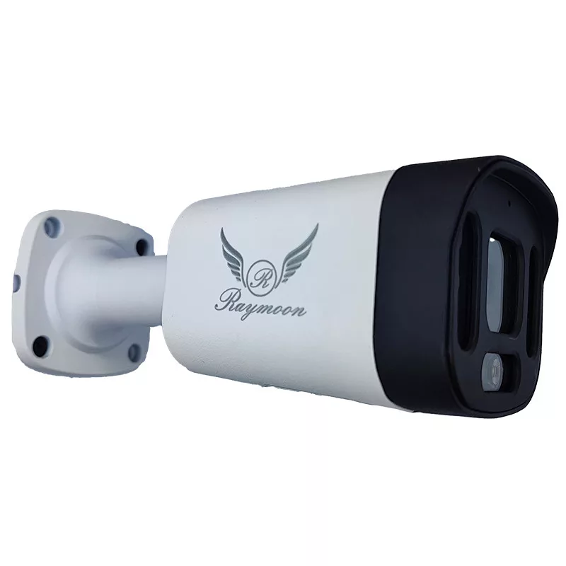 دوربین مداربسته تحت شبکه  رایمون مدل 8 مگاپیکسل کد 8313