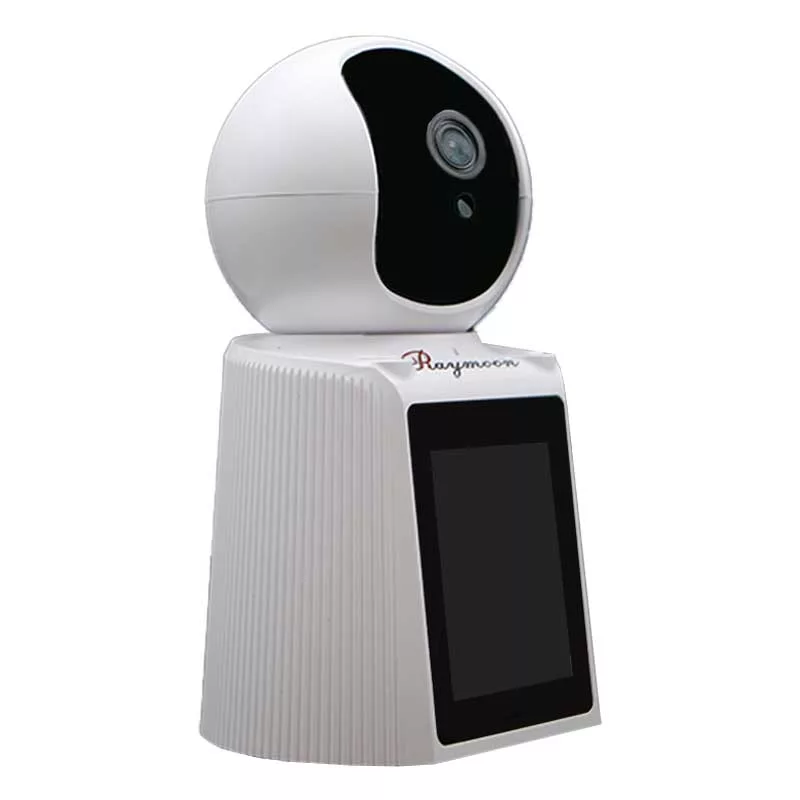 دوربین مداربسته تحت شبکه رایمون مدل RW300