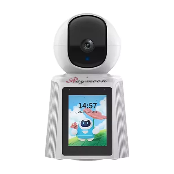 دوربین مداربسته تحت شبکه رایمون مدل 2 مگاپیکسل کد RW-300