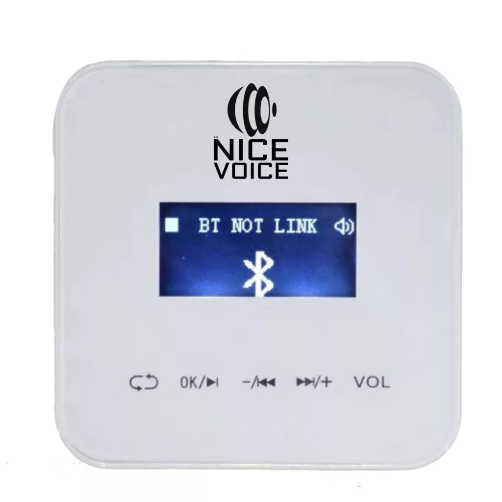 اسپیکر سقفی بلوتوثی نایس ویس مدل420 مجموعه 5عددی