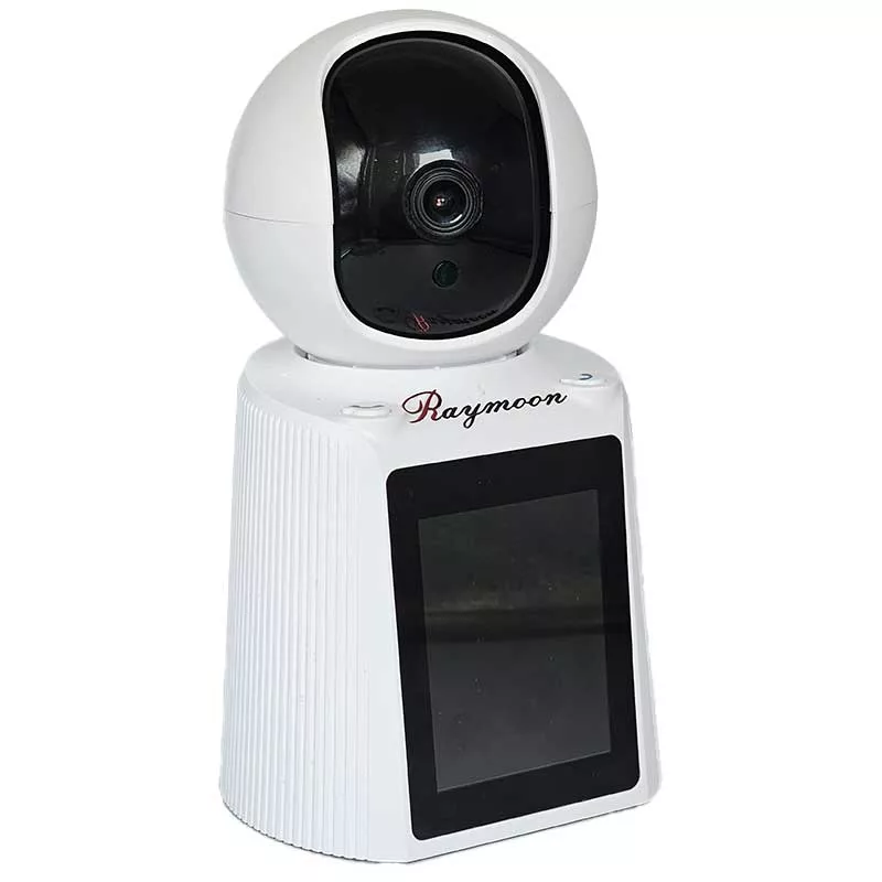 دوربین مداربسته تحت شبکه رایمون مدل RW300