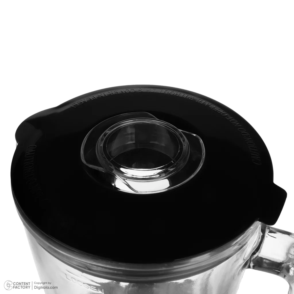 مخلوط کن و آسیاب کن رنه مدل RBCG-1701