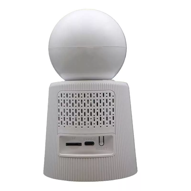 دوربین مداربسته تحت شبکه رایمون مدل RW300