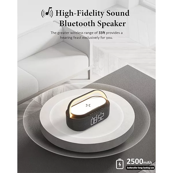 اسپیکر بلوتوثی مدل DX-W100