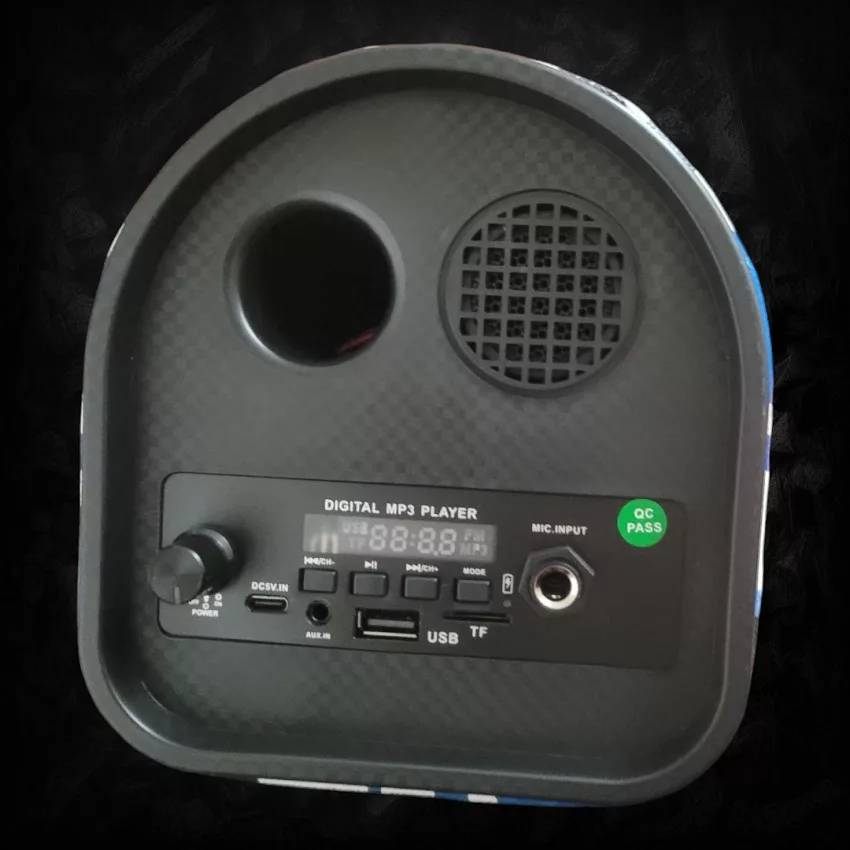 اسپیکر قابل حمل مدل PROFESSIONA