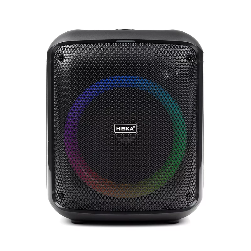 اسپیکر بلوتوثی قابل حمل هیسکا مدل B175