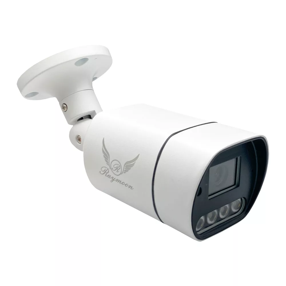 دوربین مداربسته تحت شبکه رایمون مدل IP-POE کد 60Q