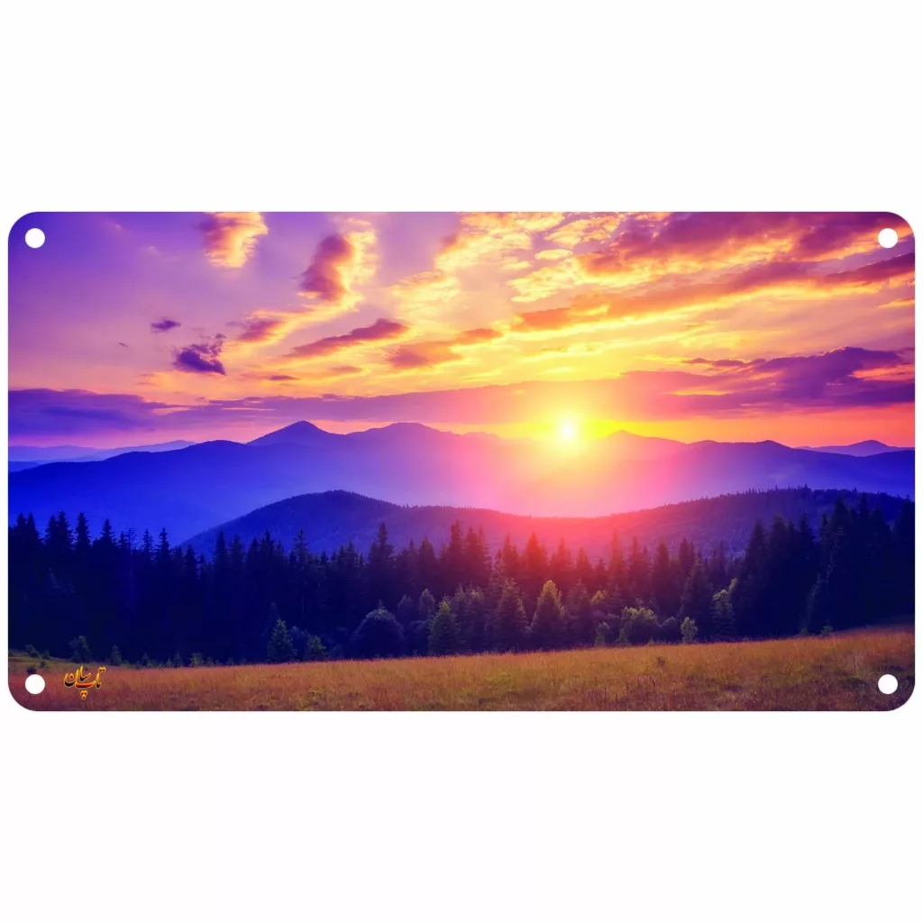 رادیاتور برقی دیواری تاپسان مدل D-902-TP-N-78