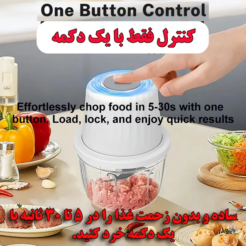 خردکن 0.4 لیتری مدل FP-221