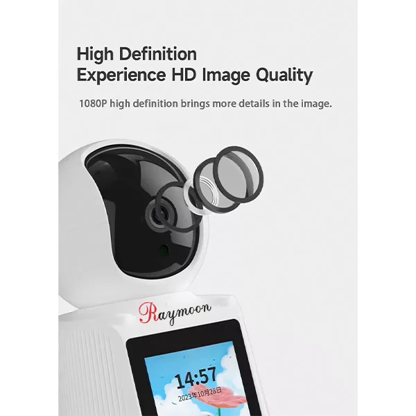 دوربین مداربسته تحت شبکه رایمون مدل 2 مگاپیکسل کد RW-300