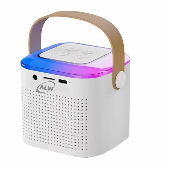 اسپیکر بلوتوثی قابل حمل ای ال دبلیو مدل Y1