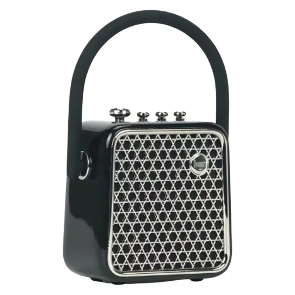 اسپیکر بلوتوثی قابل حمل دیووم مدل SongBird-SE