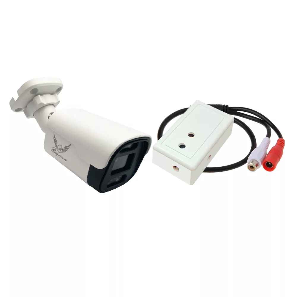 دوربین مداربسته AHD رایمون مدل 2 مگاپیکسل کد 8235 به همراه میکروفون