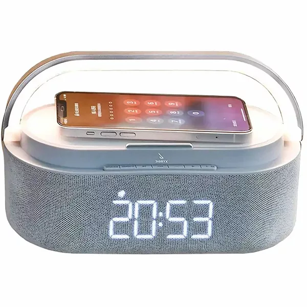 اسپیکر بلوتوثی مدل DX-W100