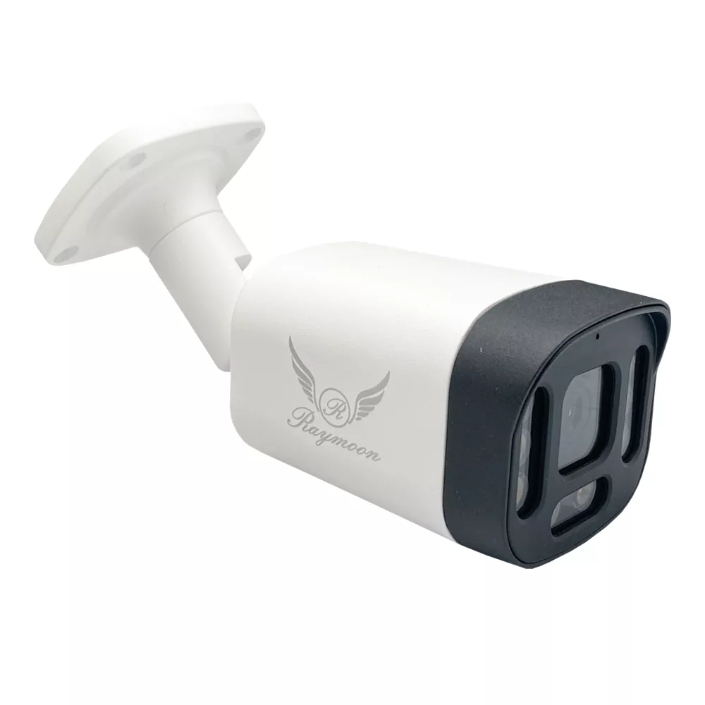 دوربین مداربسته تحت شبکه رایمون مدل IP-POE کد 8313