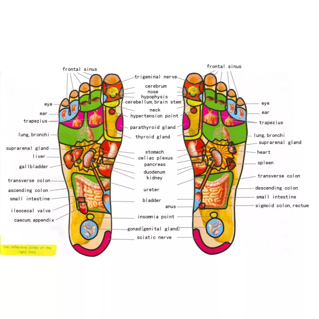 ماساژور برقی پا مدل SHIATSU