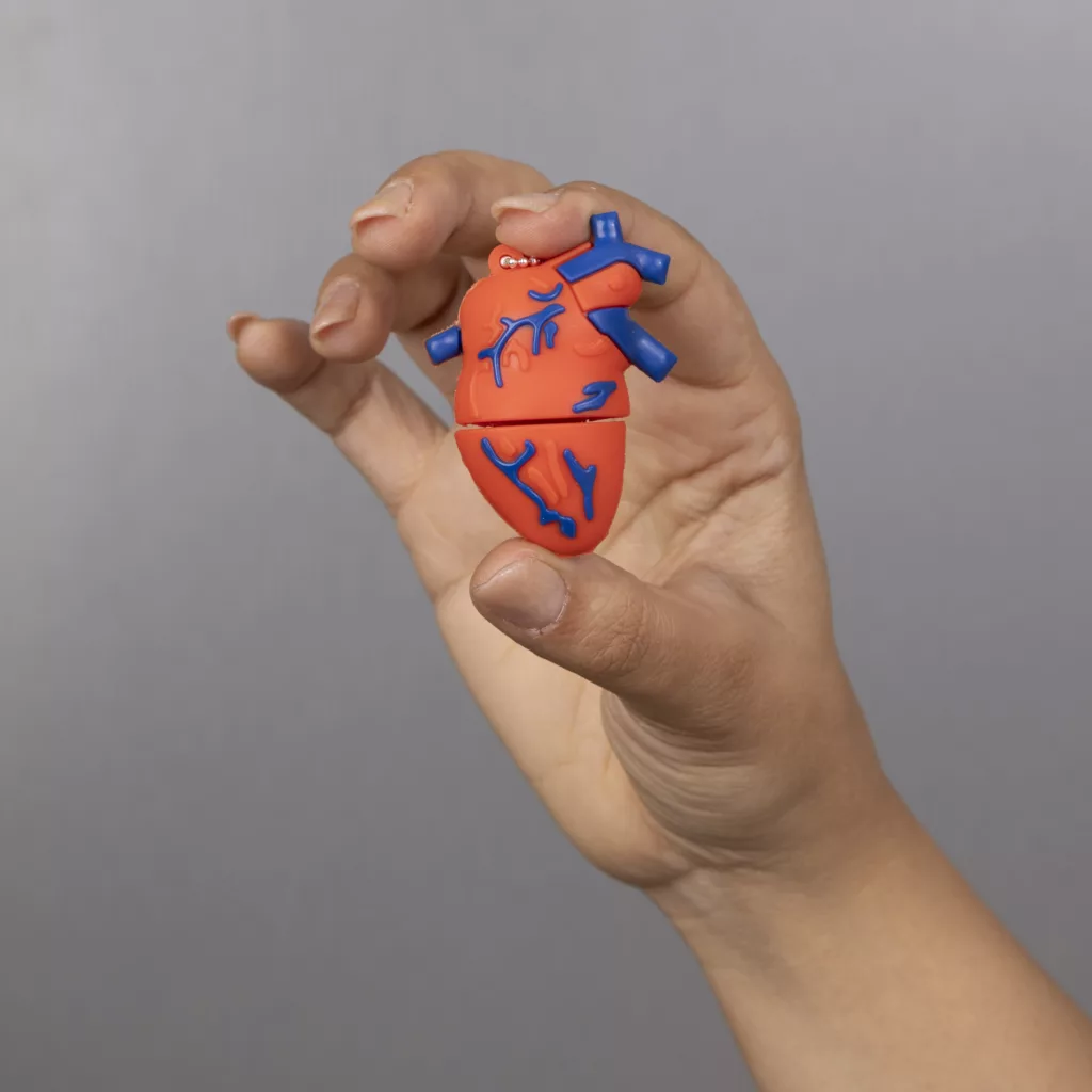 فلش مموری مدل آناتومی قلب ظرفیت هشت گیگابایت