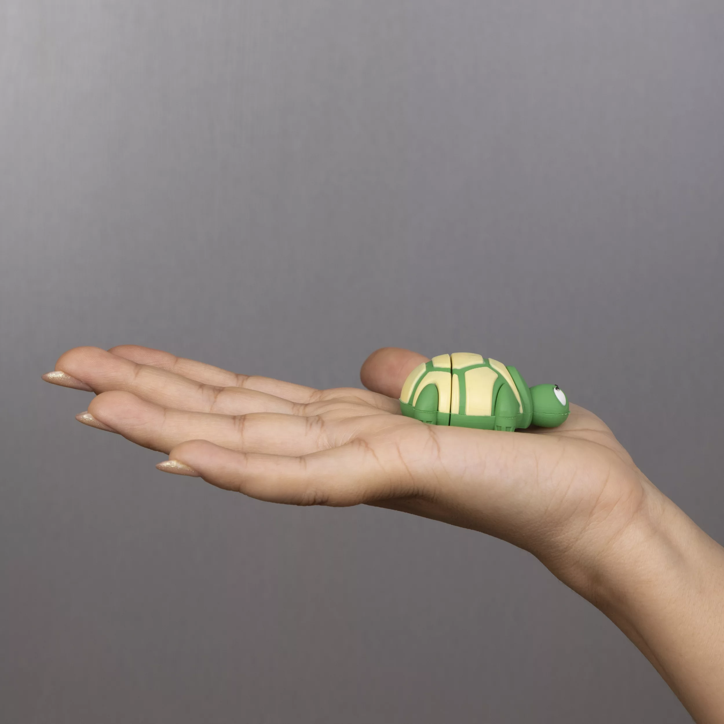 فلش مموری مدل لاک پشت ظرفیت 16 گیگابایت