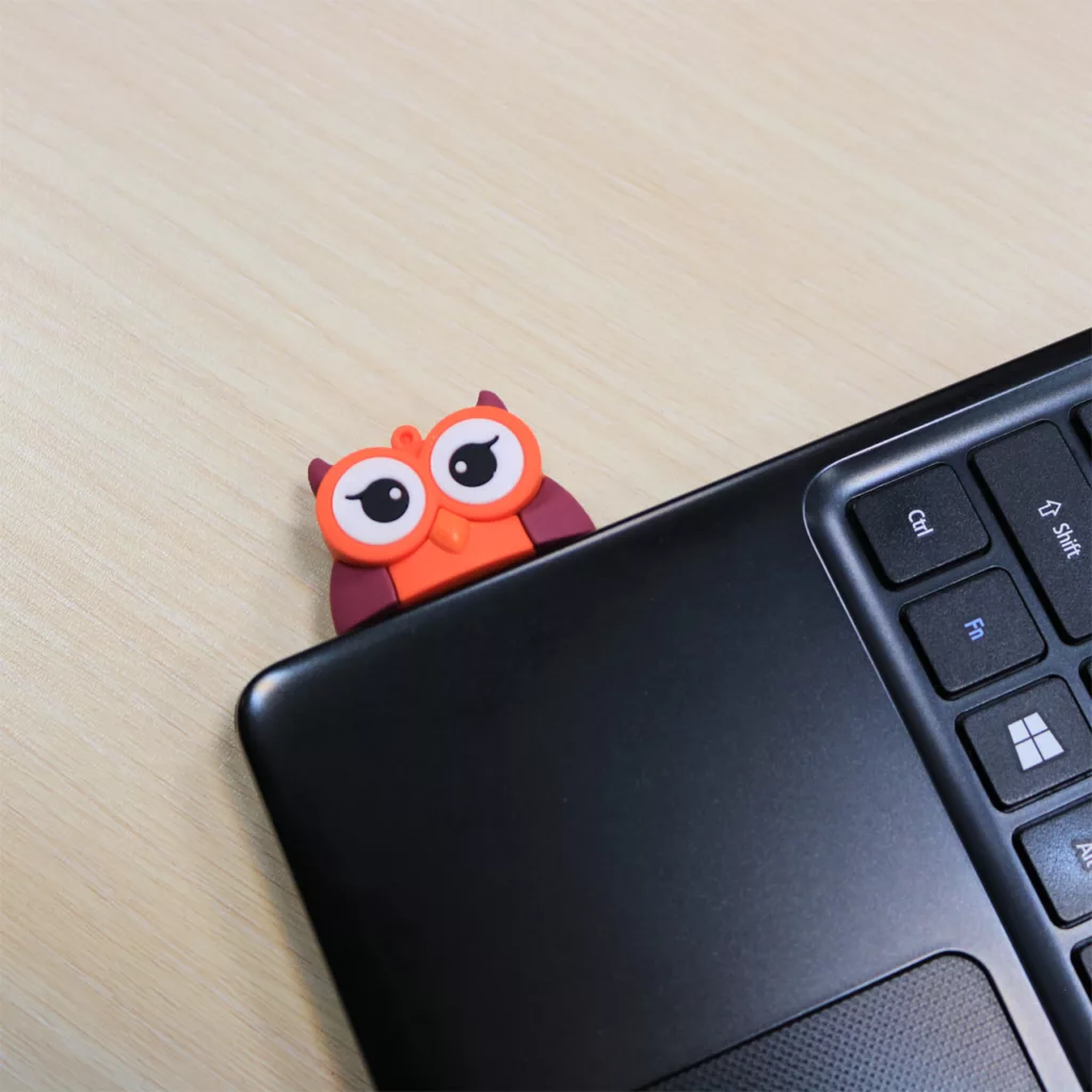 فلش مموری طرح جغد بزرگ مدل UL-Owl02 ظرفیت 16 گیگابایت