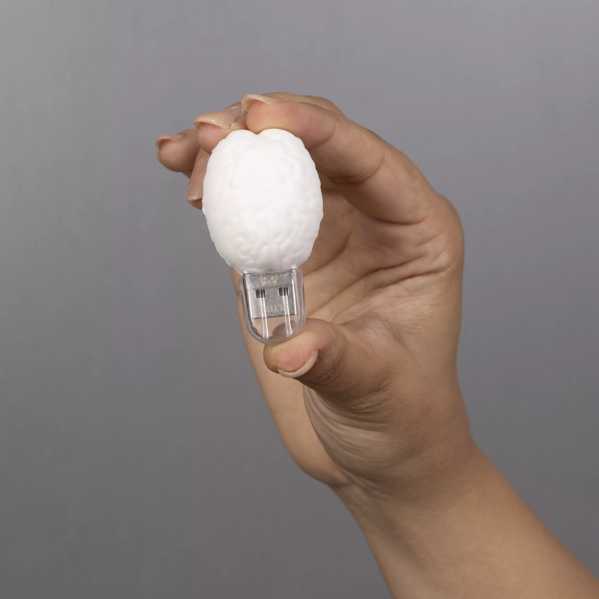 فلش مموری مدل مغز ظرفیت هشت گیگابایت