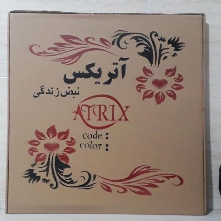 ساعت دیواری آتریکس مدل M34