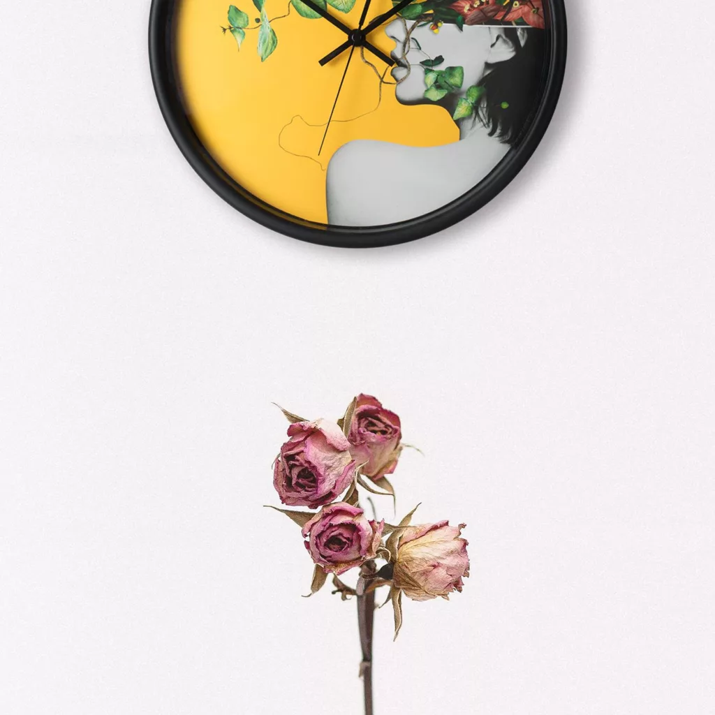 ساعت دیواری سالبردز مدل CWM-107