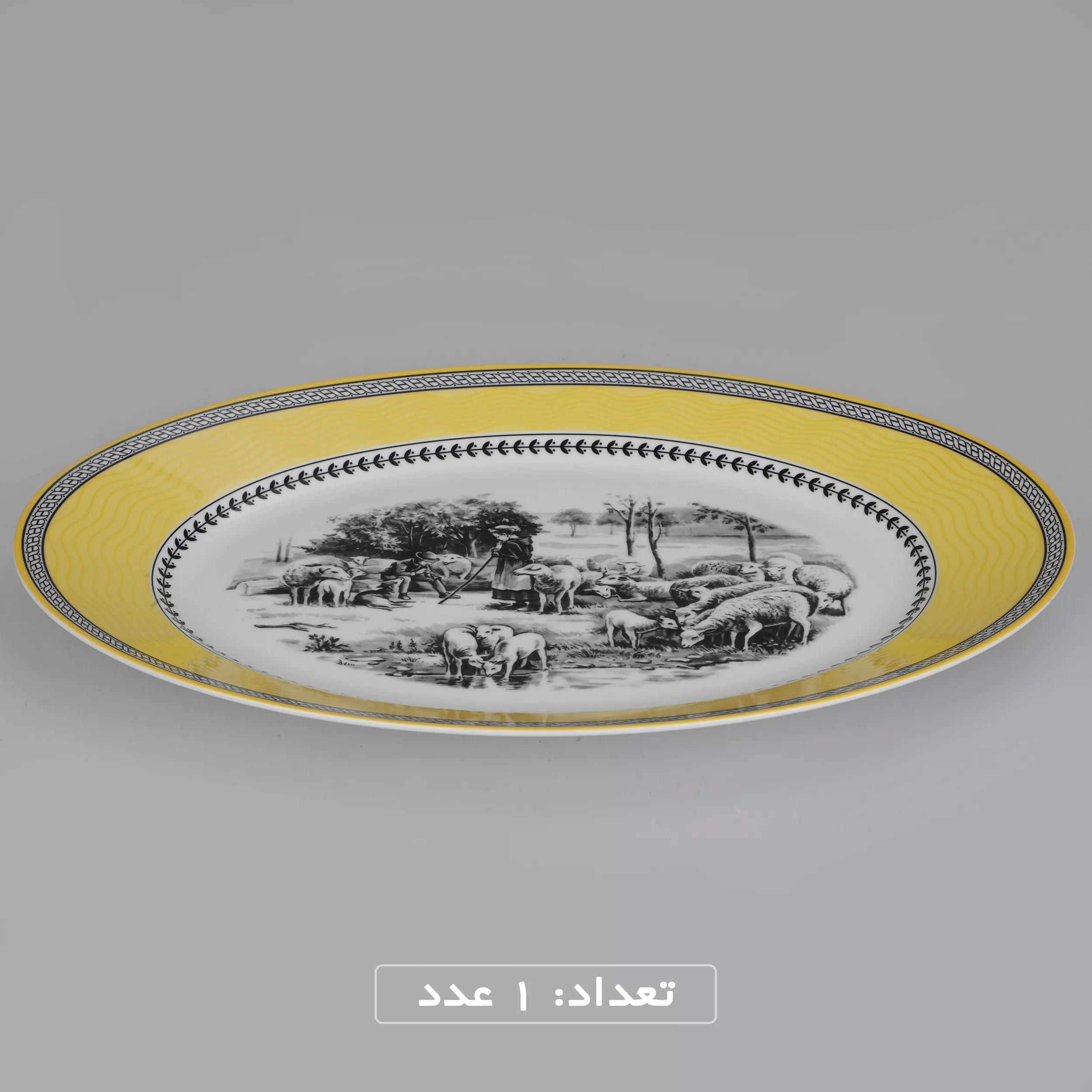 سرویس چینی 102 پارچه غذا خوری چینی زرین ایران سری ایتالیا اف مدل ویلیج درجه یک