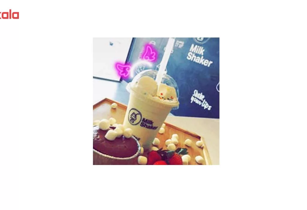 میلک شیکر برقیPrincess-sh ظرفیت 500 میلی لیتر