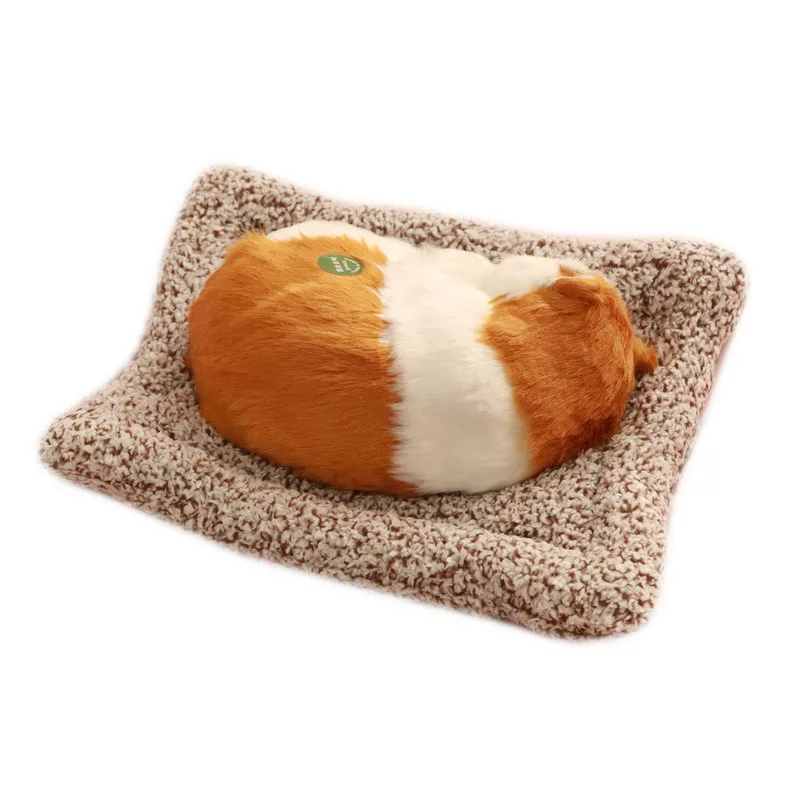 بوگیر خودرو طرح گربه خواب مدل ghahsef