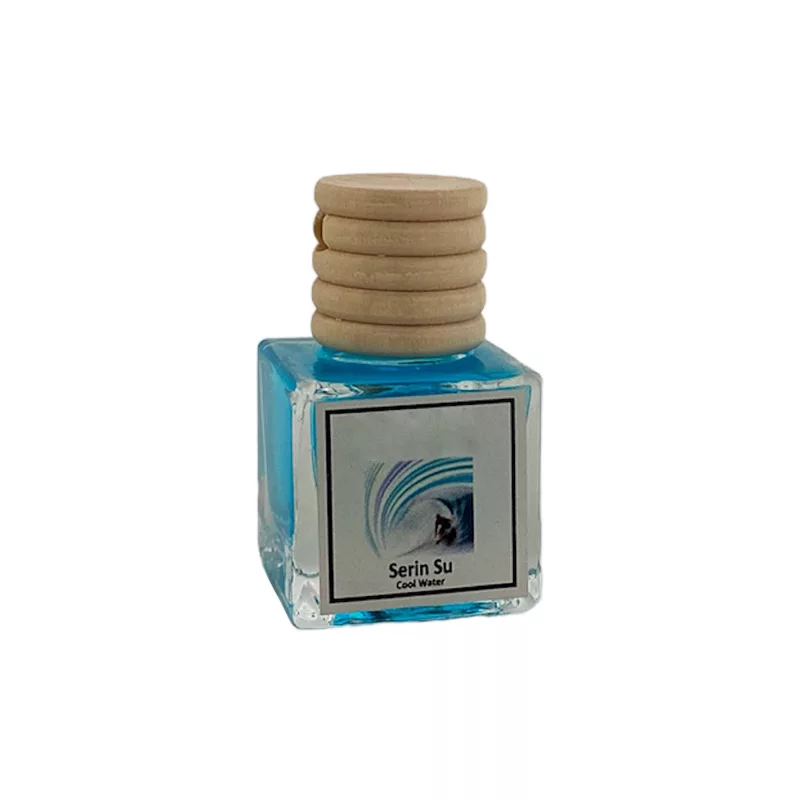 خوشبوکننده خودرو مدل آنجل و کول واتر حجم 10 میلی لیتر مجموعه 2 عددی