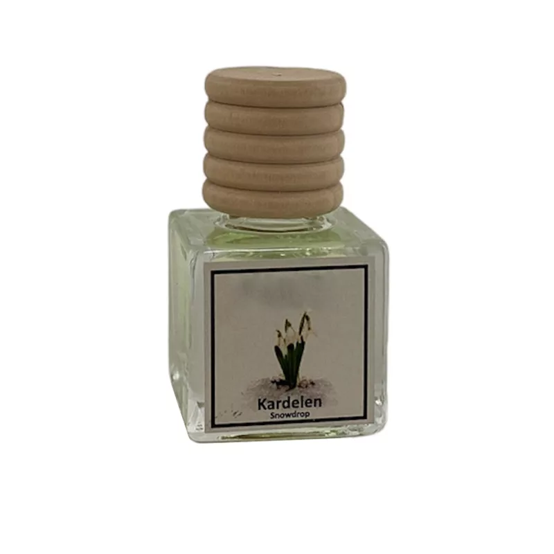 خوشبوکننده خودرو مدل کارامل کافه لته گل یخ حجم 10 میلی لیتر مجموعه 3 عددی