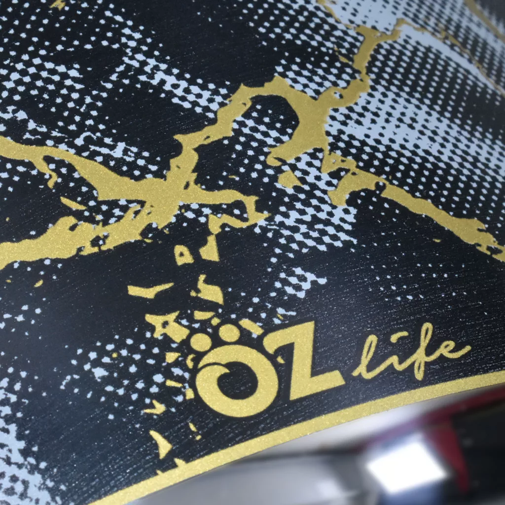 زودپز اوزلایف مدل Isil dekorlu گنجایش 6 لیتر