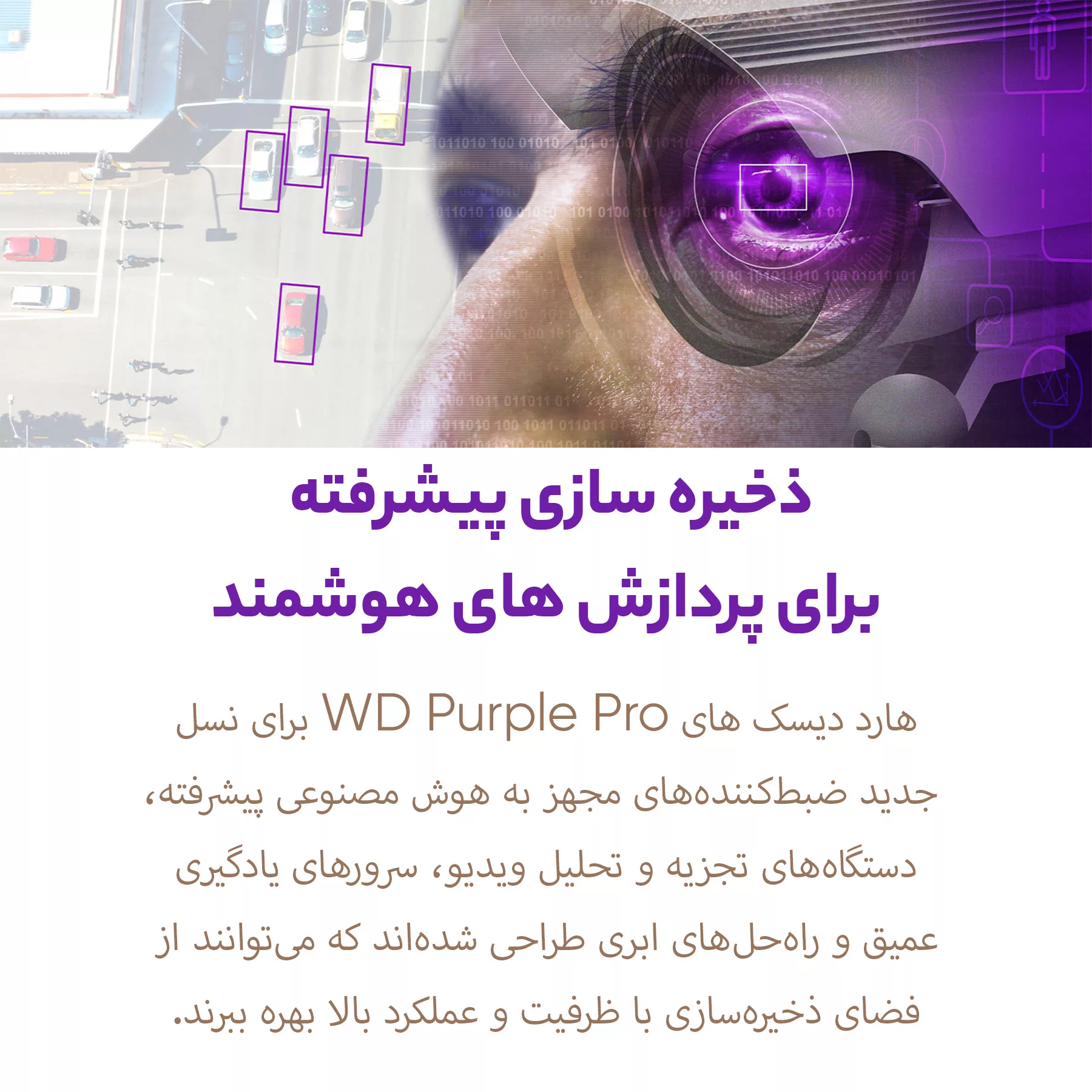 هارددیسک اینترنال وسترن دیجیتال مدل Purple WD100PURZ ظرفیت 10 ترابایت
