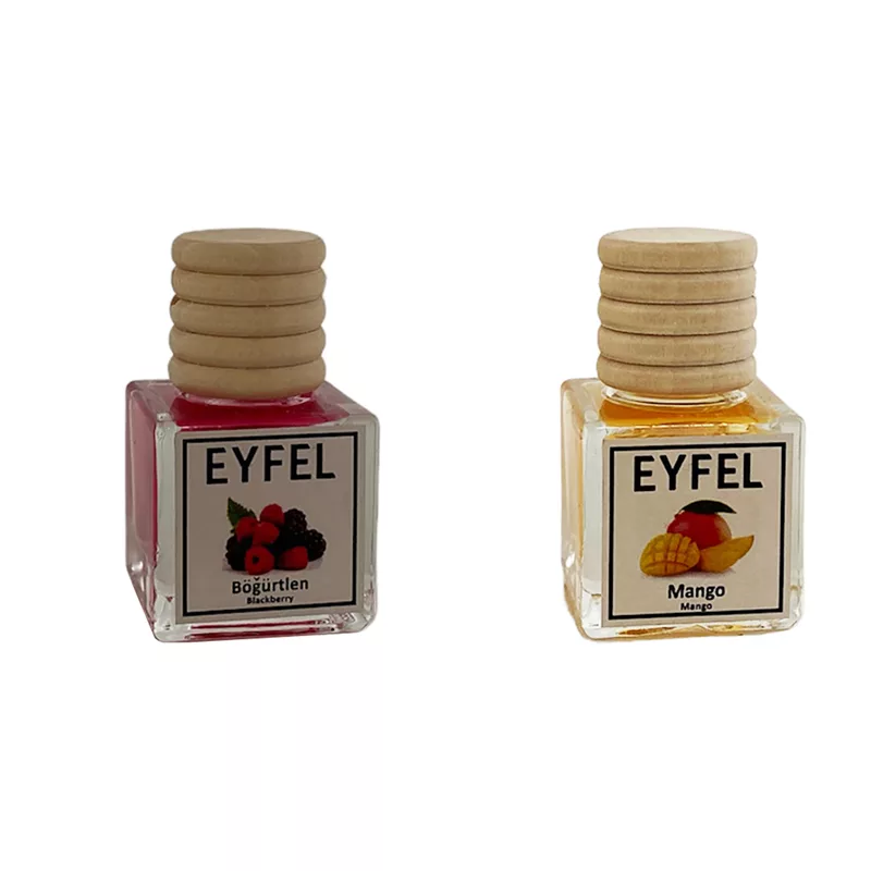 خوشبوکننده خودرو مدل شاتوت و انبه حجم 10 میلی لیتر مجموعه 2 عددی