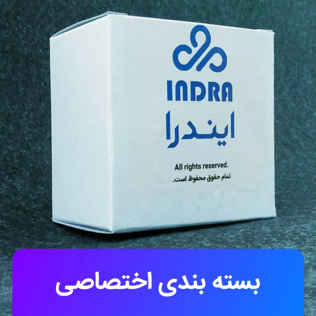 دوشاخه صنعتی ایندرا مدل D101