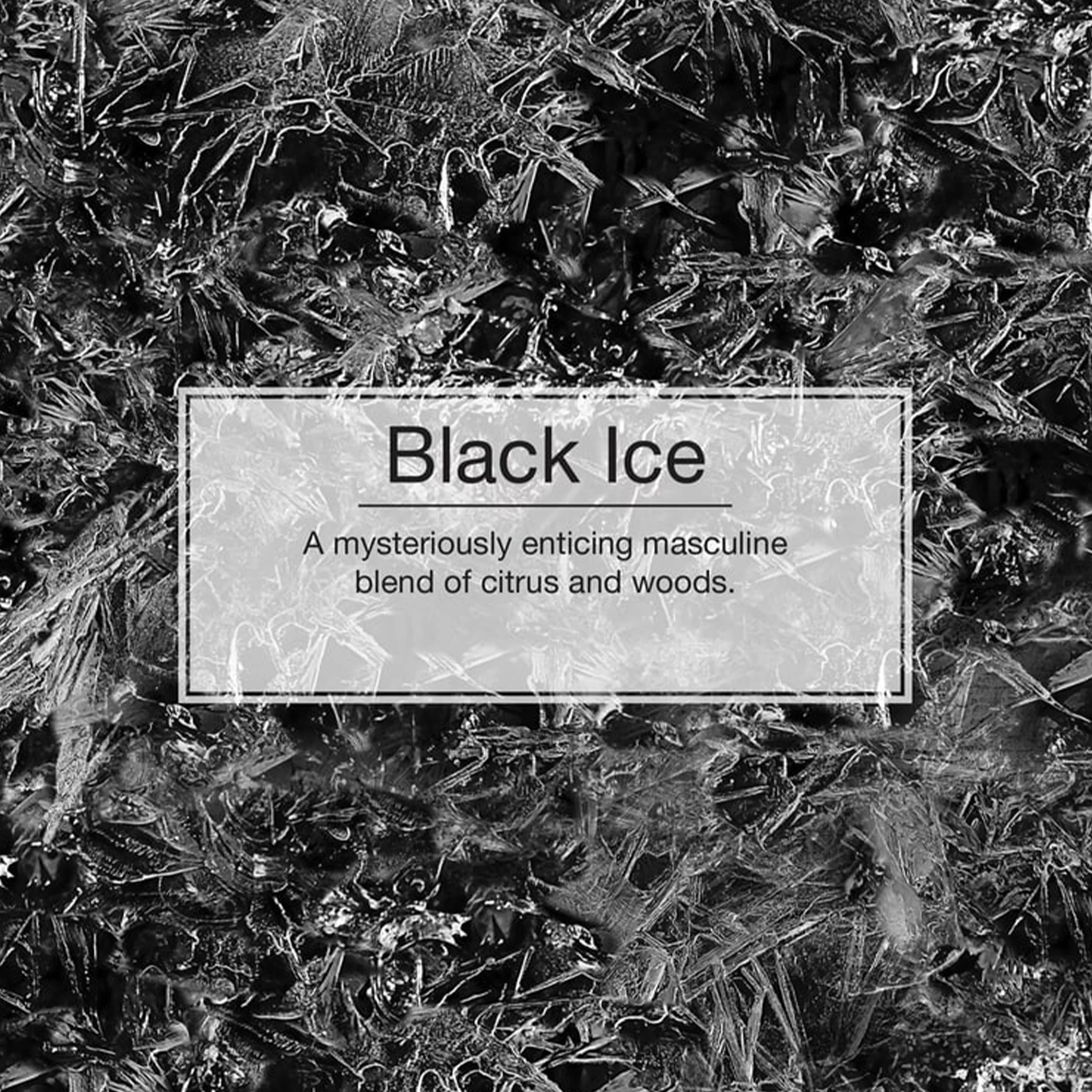 خوشبوکننده خودرو لیتل تریس مدل Trees رایحه BLACK ICE