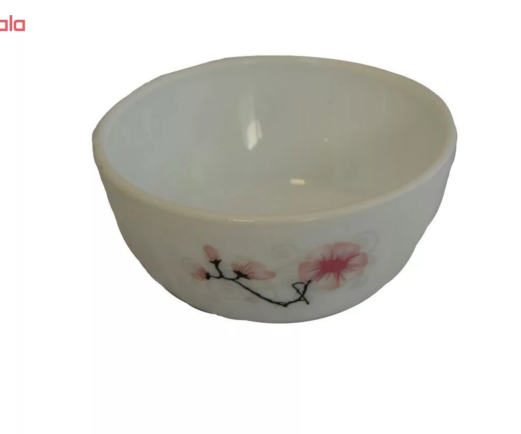 سرویس 25 پارچه غذاخوری آیروپال طرح روشنک