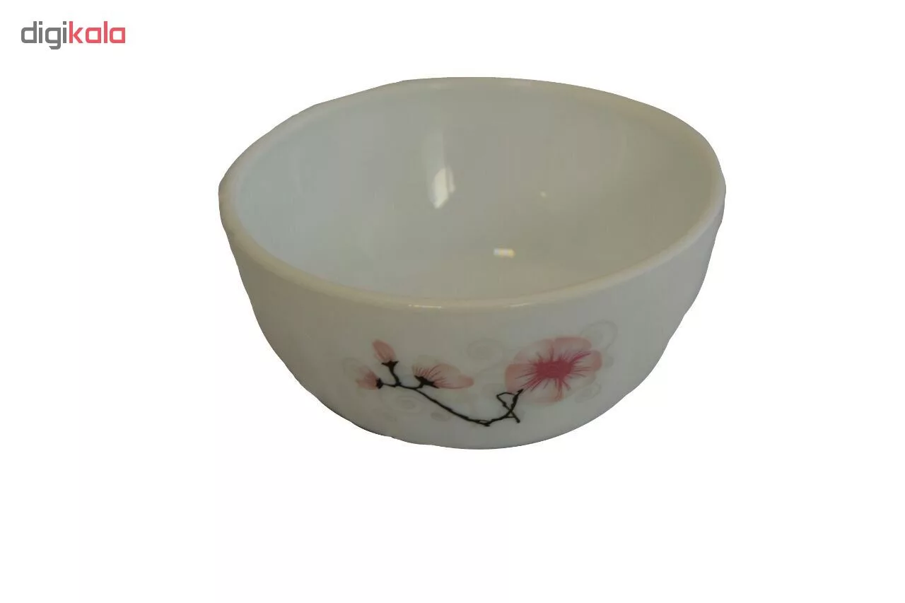 سرویس 25 پارچه غذاخوری آیروپال طرح روشنک