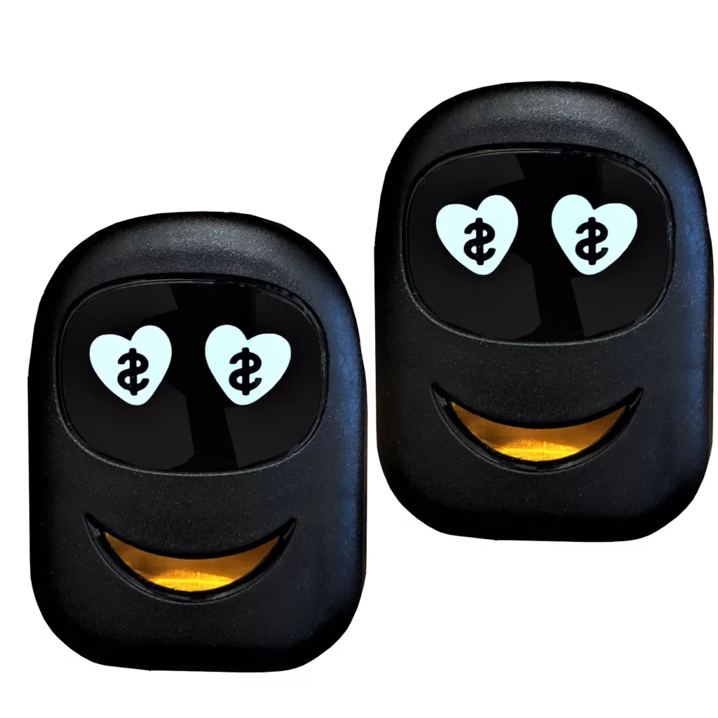 خوشبو کننده خودرو تاپ کار مدل SMILE کد FRUIT GARDEN حجم 4 میلی لیتر بسته دو عددی