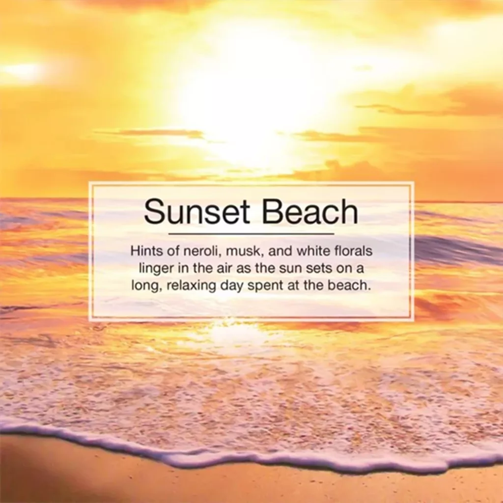 خوشبوکننده خودرو لیتل تریس مدل Trees رایحه Sunset Brach بسته 3 عددی