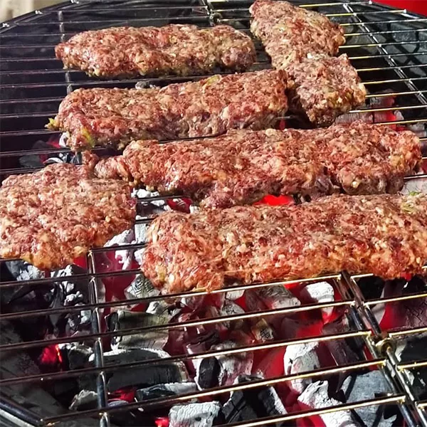 آتشدان سفری مدل پارمیس