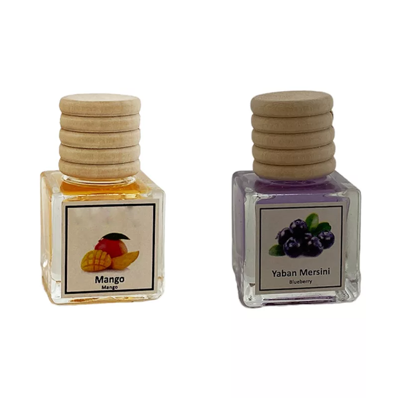 خوشبوکننده خودرو مدل انبه و بلوبری حجم 10 میلی لیتر مجموعه 2 عددی