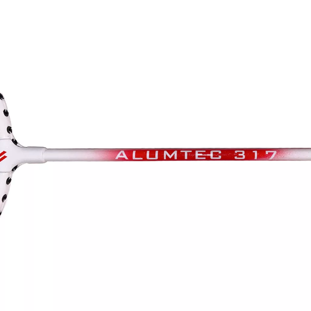 راکت بدمینتون ویش مدل 317